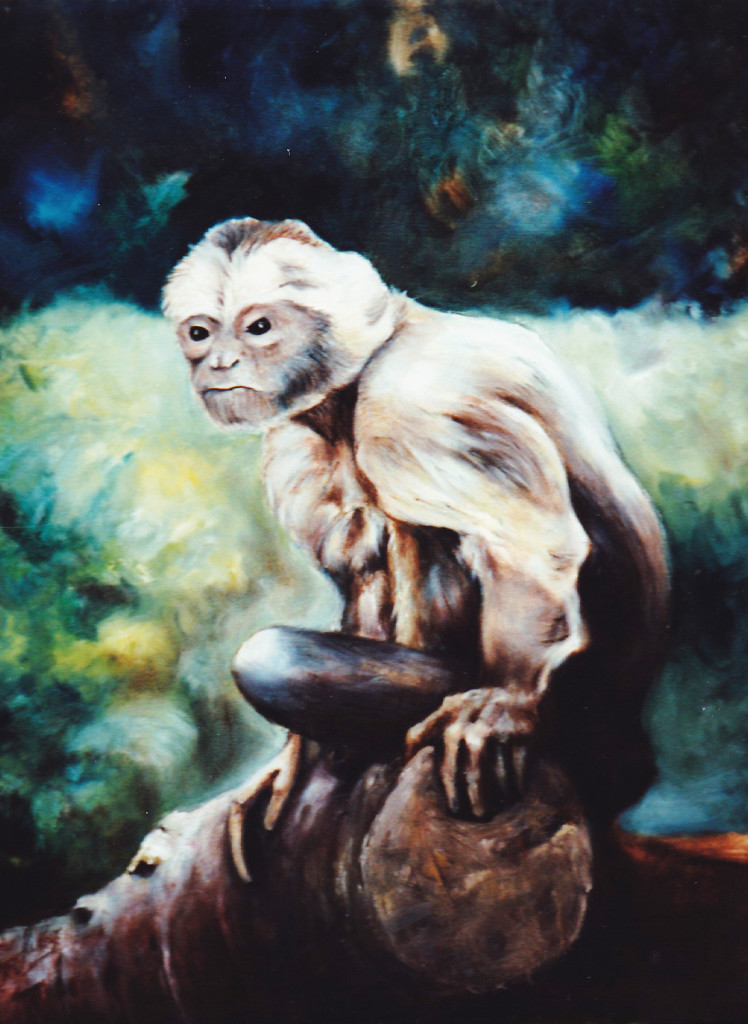 monkey-study