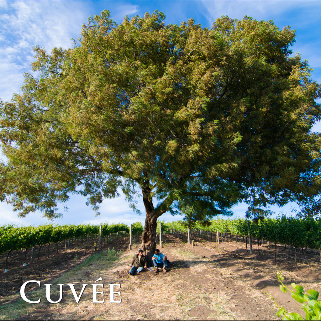 tree-cuvee